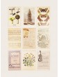 Plant & Letter Print Postcard 30sheets